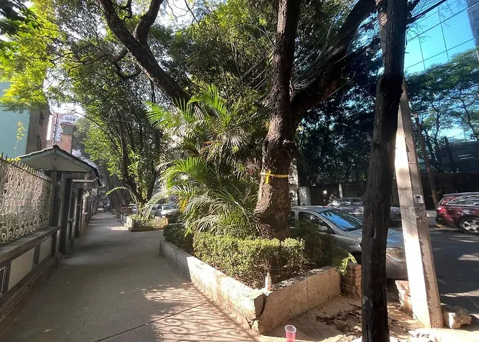 Near The Spots In Polanco