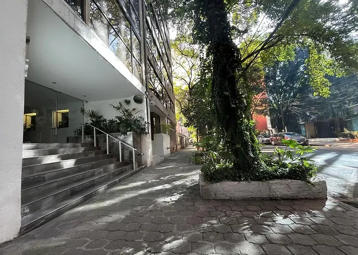 Near The Spots In Polanco